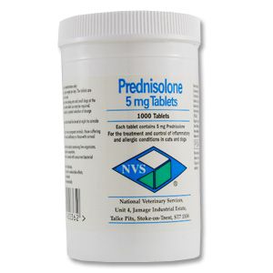 Prednisolone 5mg